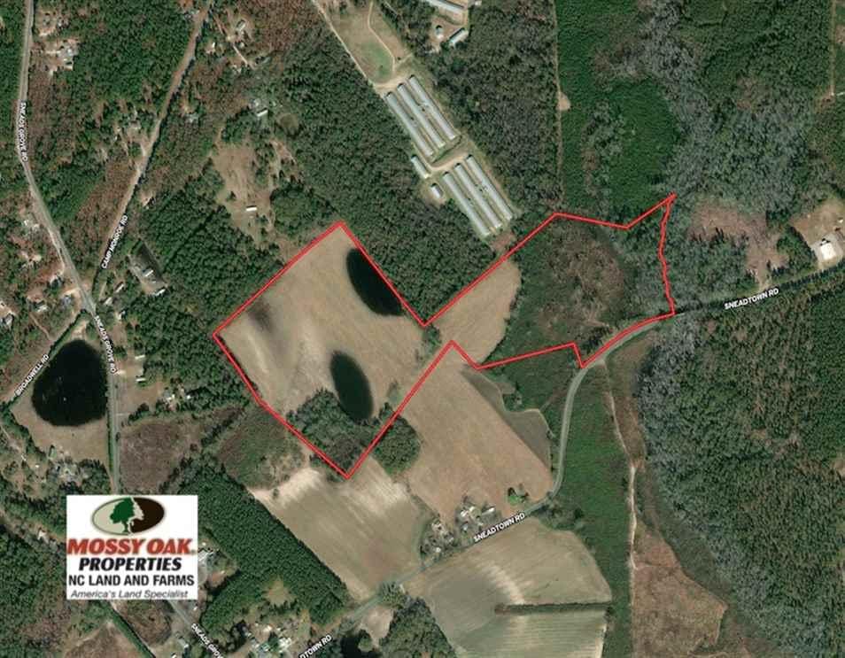 SOLD!! 70 Acres of Farm and Timber Land For Sale in Scotland County NC