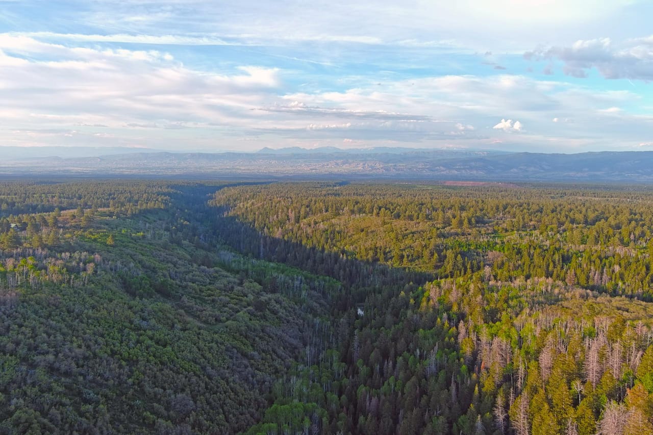 Government Springs Ranch | Ouray County | Ouray, CO