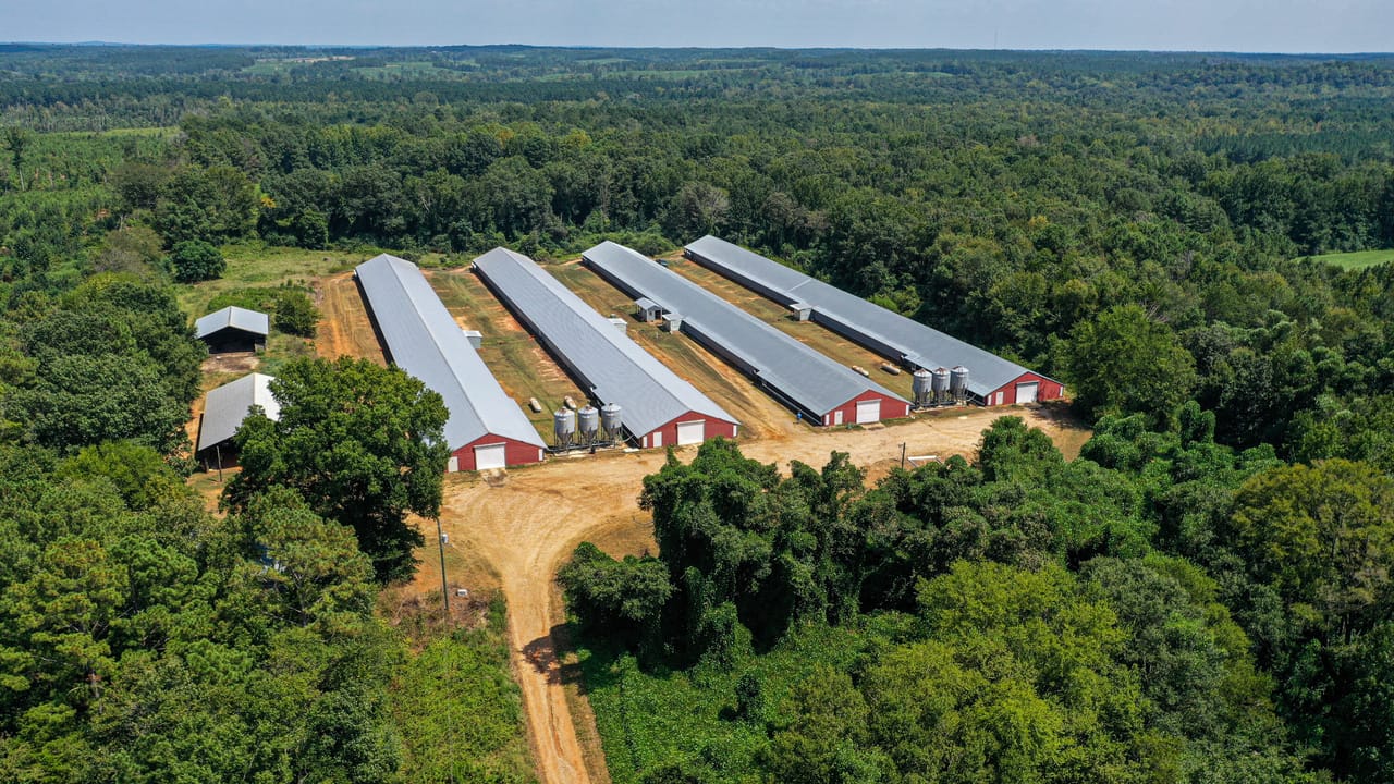 Decatur Broiler Farm | Newton County | Decatur, MS