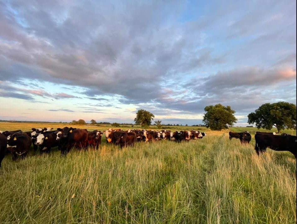 Hughes Apache Ranch Hughes Ranch 1,863 | Haskell County | Haskell, OK