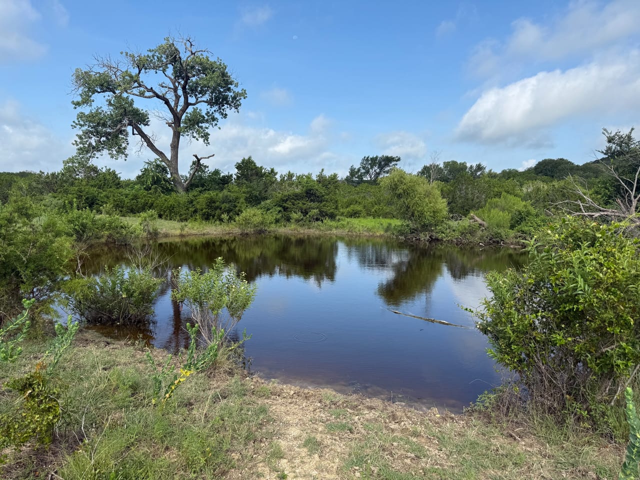 Rural living opportunity near Copperas Cove with a Pond | Coryell ...