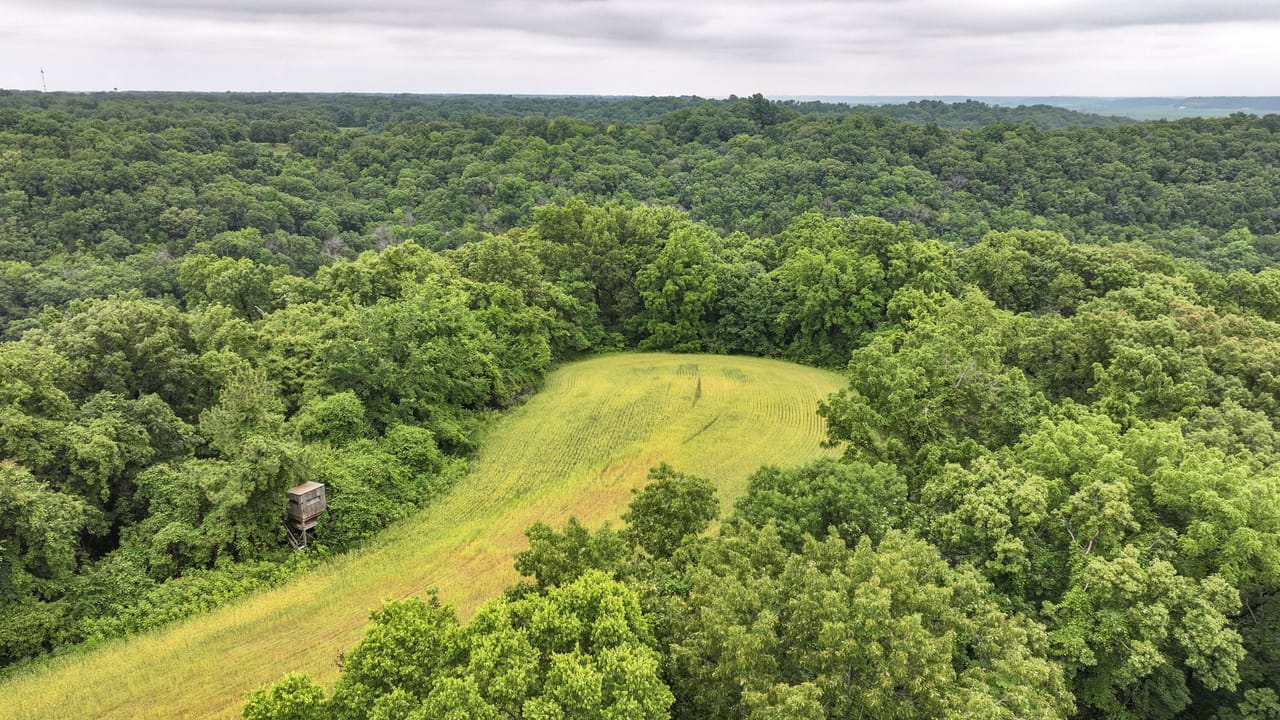 51 Acres - 986 Franklin Hill Rd. Batchtown, IL | Calhoun County ...