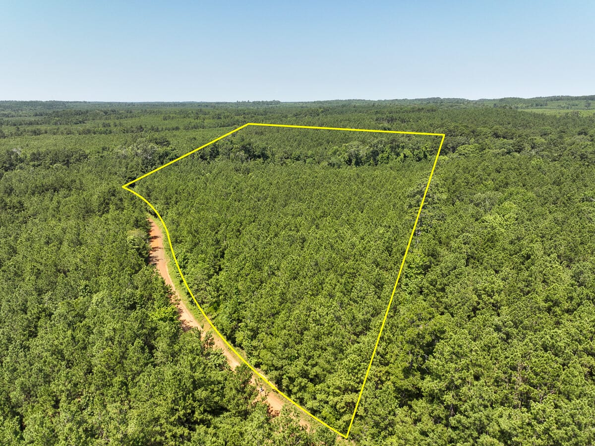 22 Acres | T-1 | Lick Skillet Road | 1011 | Sabine County | Milam, TX