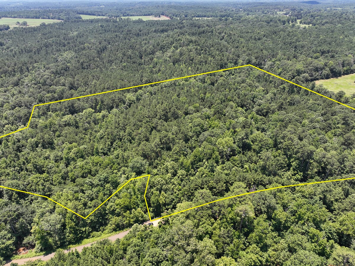 27 Acres | T-2 | Lick Skillet Road | 1019 | Sabine County | Milam, TX