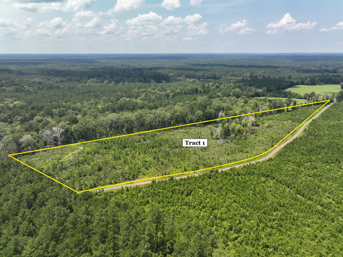 12 Acres | T-1 | Coussons Drive | 1029 | Sabine County | Hemphill, TX