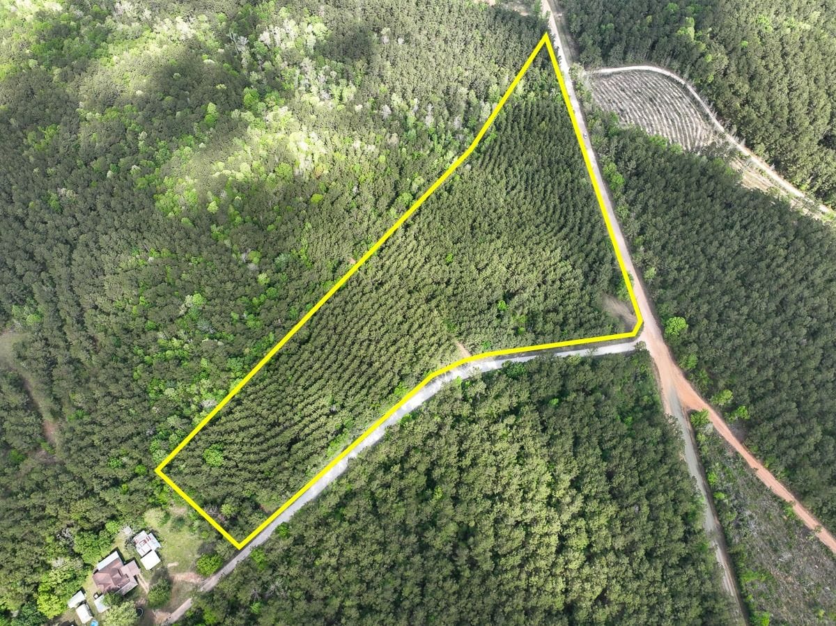11 Acres | T-1 | CR 4300 | SN6327 | Tyler County | Woodville, TX