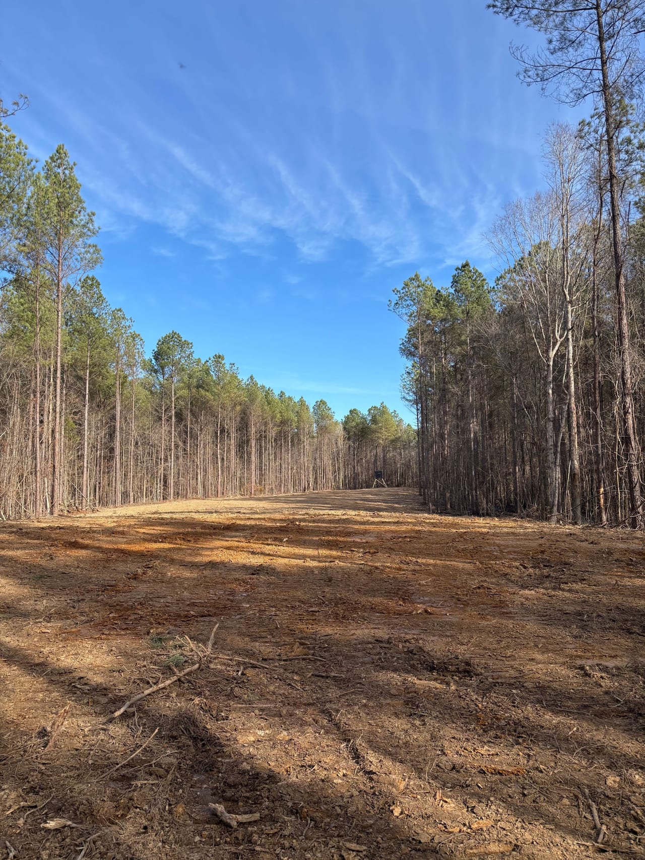 Calhoun 80 | Calhoun County | Calhoun City, MS