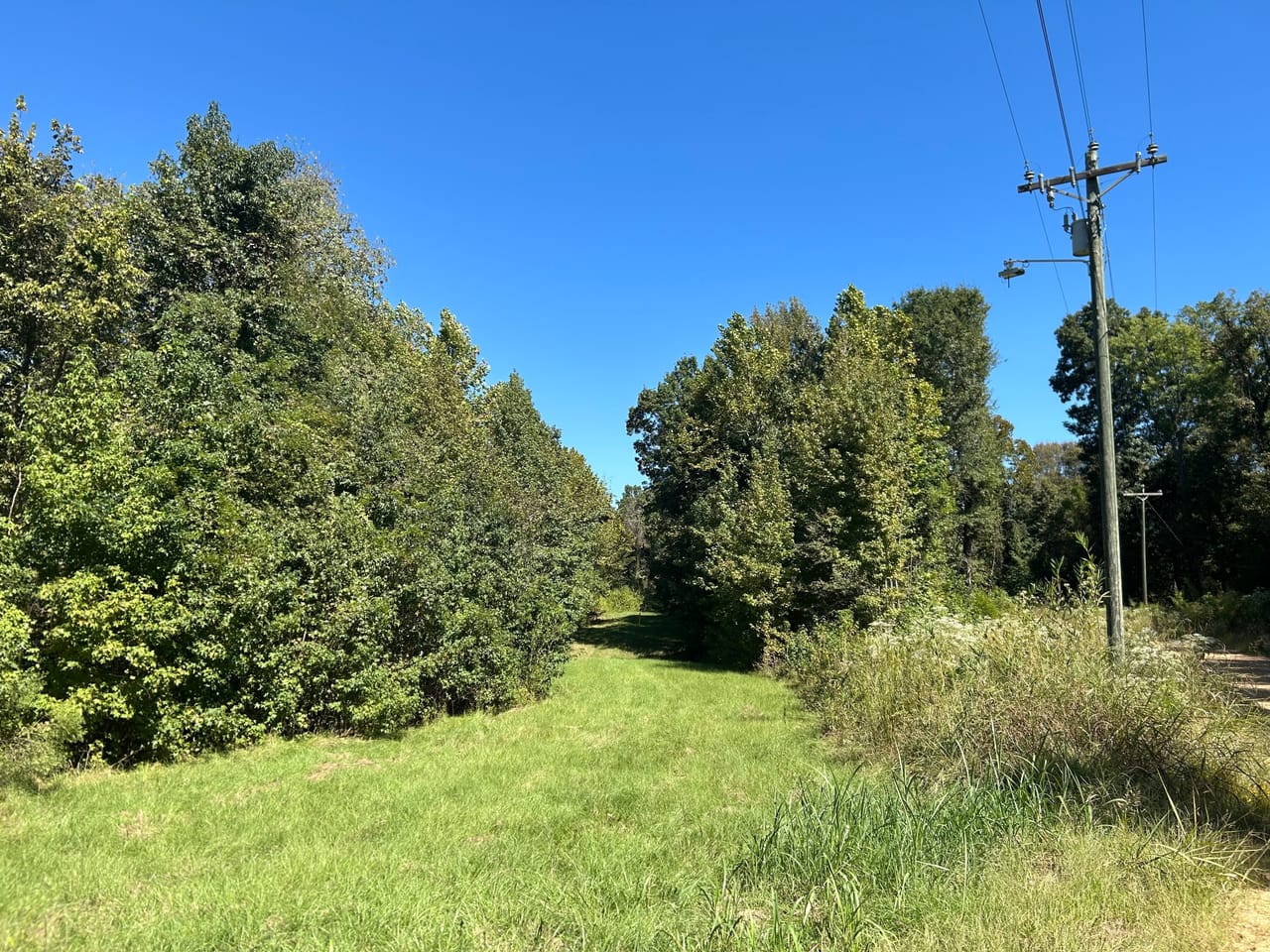 Yazoo 160 | Yazoo County | Bentonia, MS