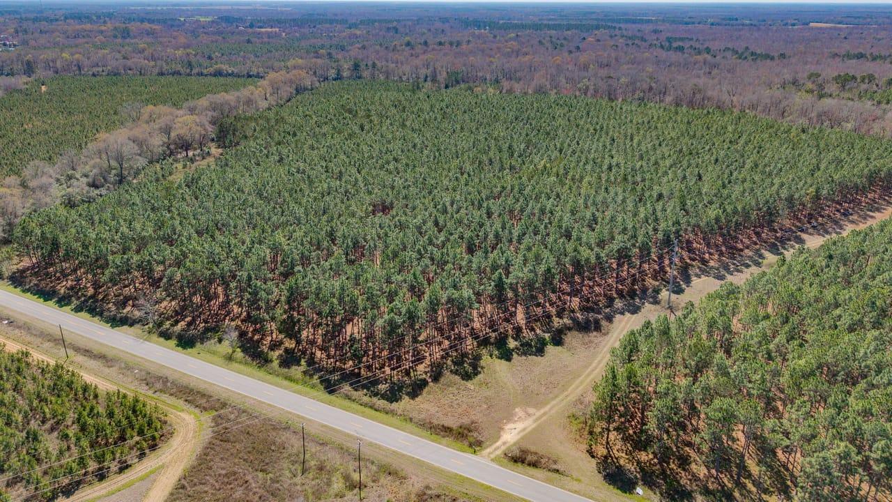 51 Ac Homestead with Longleaf Timber in Arlington, GA | Calhoun County ...