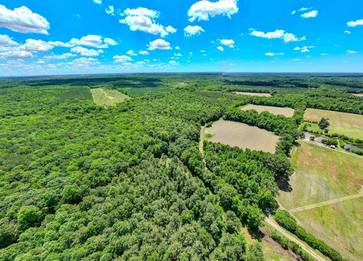 SOLD!! 57.96 Acre Secluded Timber Property with Extensive River ...