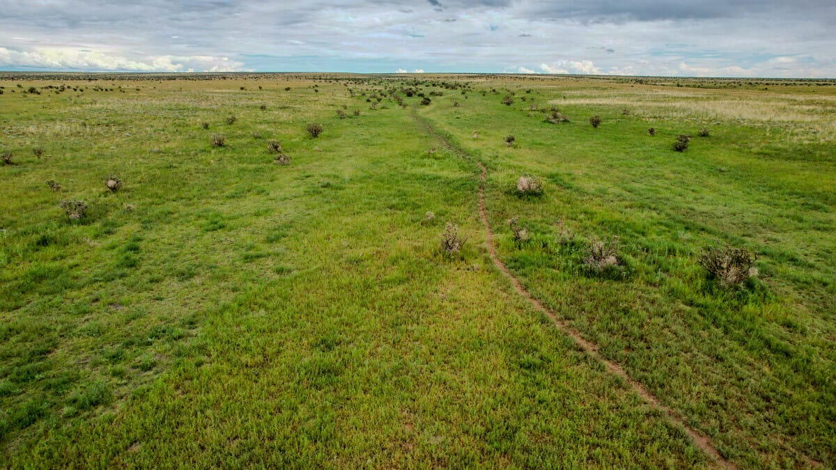 Devaughn Draw Ranch | Torrance County | Estancia, NM