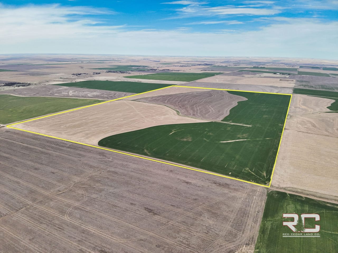 Auction 238+/- Tillable Acres For Sale | Rush County | Bison, KS