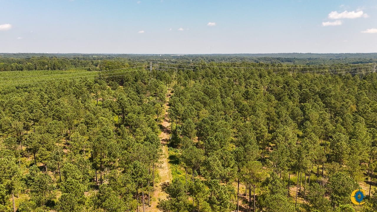 BUFFALO TRACT | Union County | Buffalo, SC