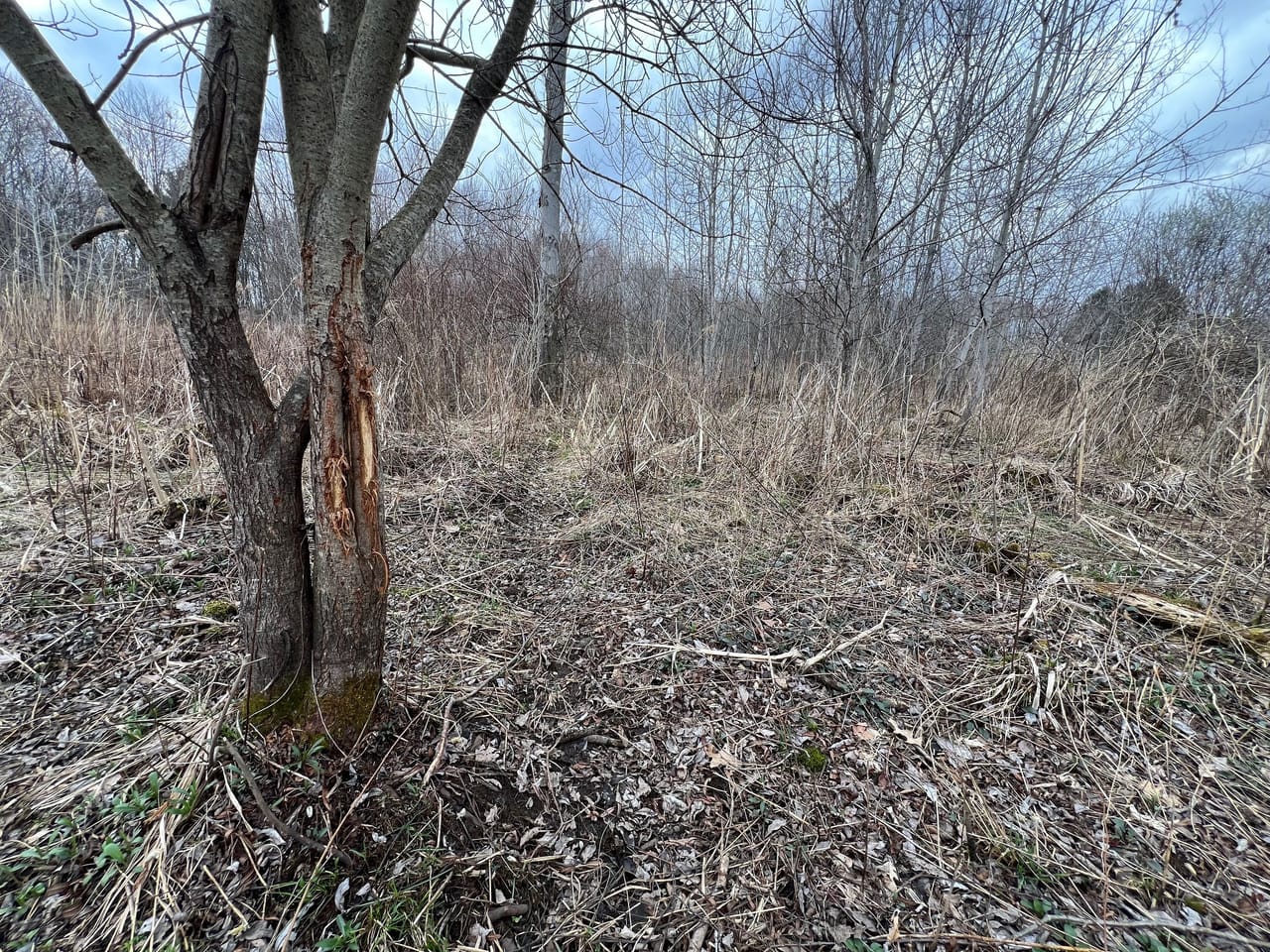 Kennerdell Roots 37+/- Acres Jordan Hill Rd, Kennerdell PA | Venango County | Kennerdell, PA