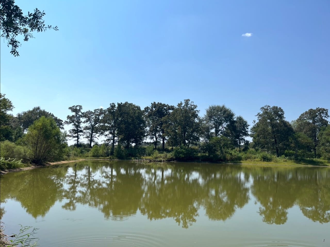 Photo 2 of 45 of land for sale at 3196 Raborn Rd, Magnolia, MS 39652