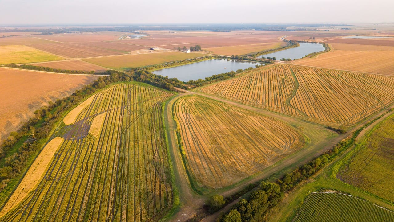 360 acres in Arkansas County, AR: hunting land for sale near Almyra, AR