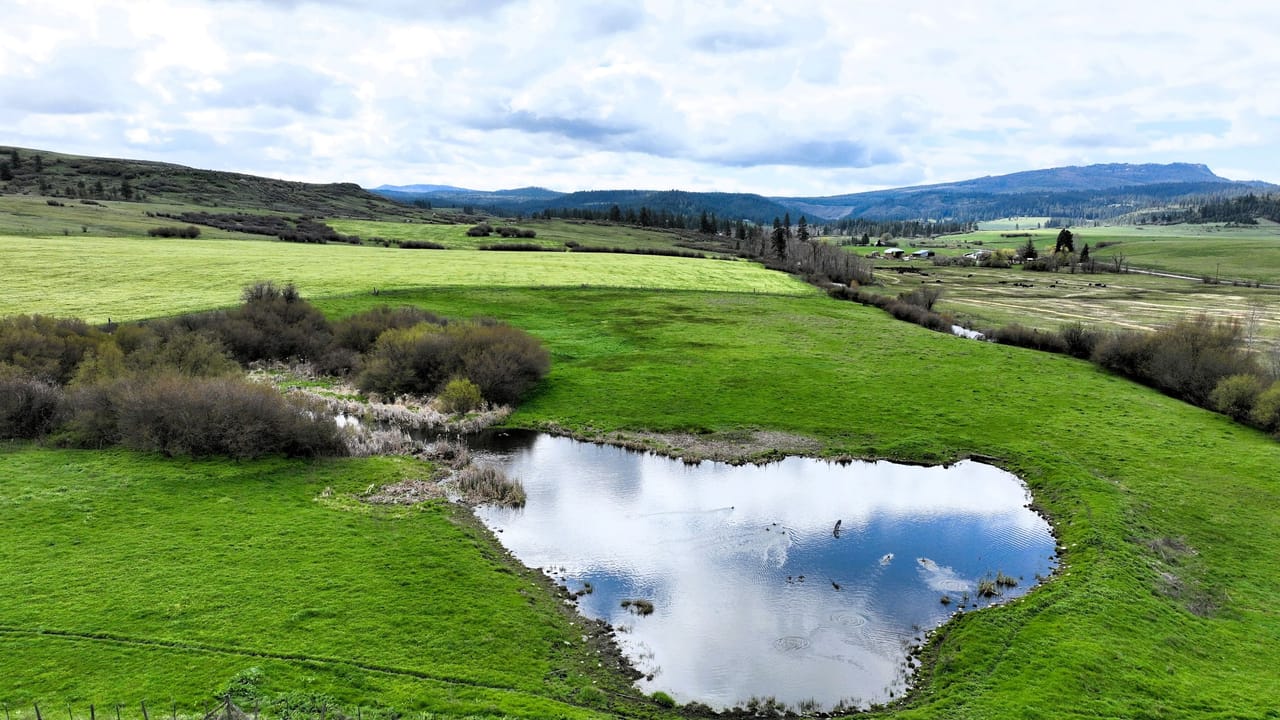 Lower Indian Creek Ranch | Union County | Elgin, OR