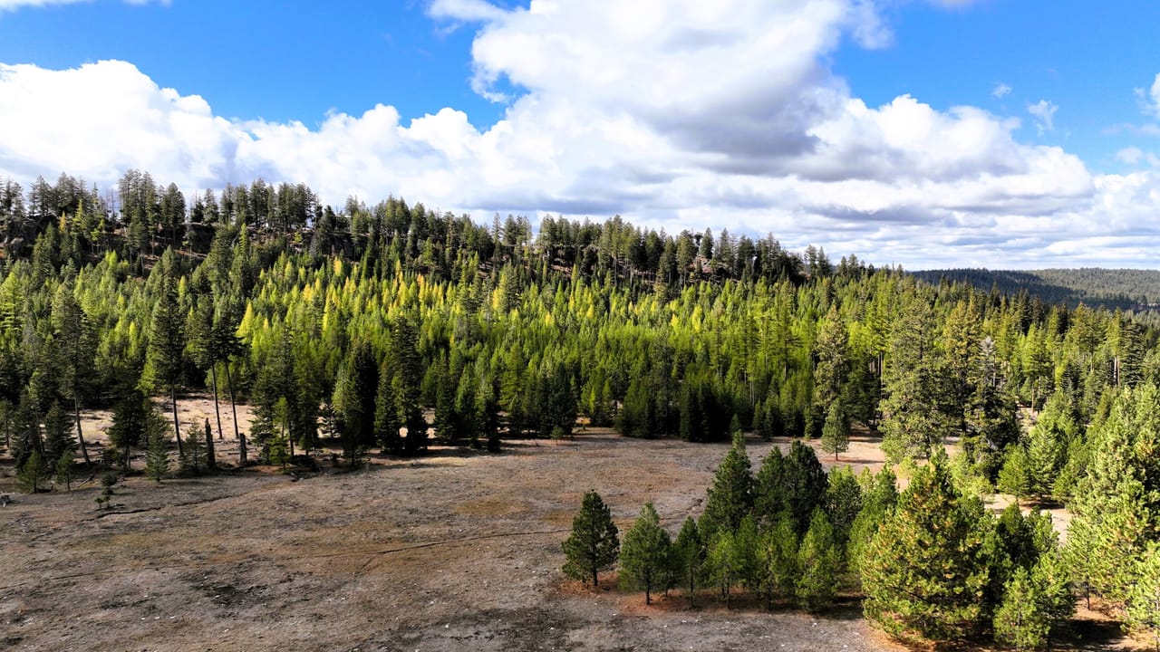 Glasshill Mountain Meadow | Union County | La Grande, OR