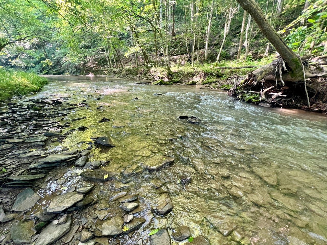 Cross Creek s Hidden Gem Washington County Avella PA cross-creek-s-hidden-gem-washington-county-avella-pa