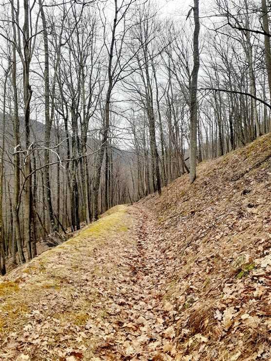 1st Fork Rd 73 Acres Cameron County Cameron County Sinnamahoning, PA