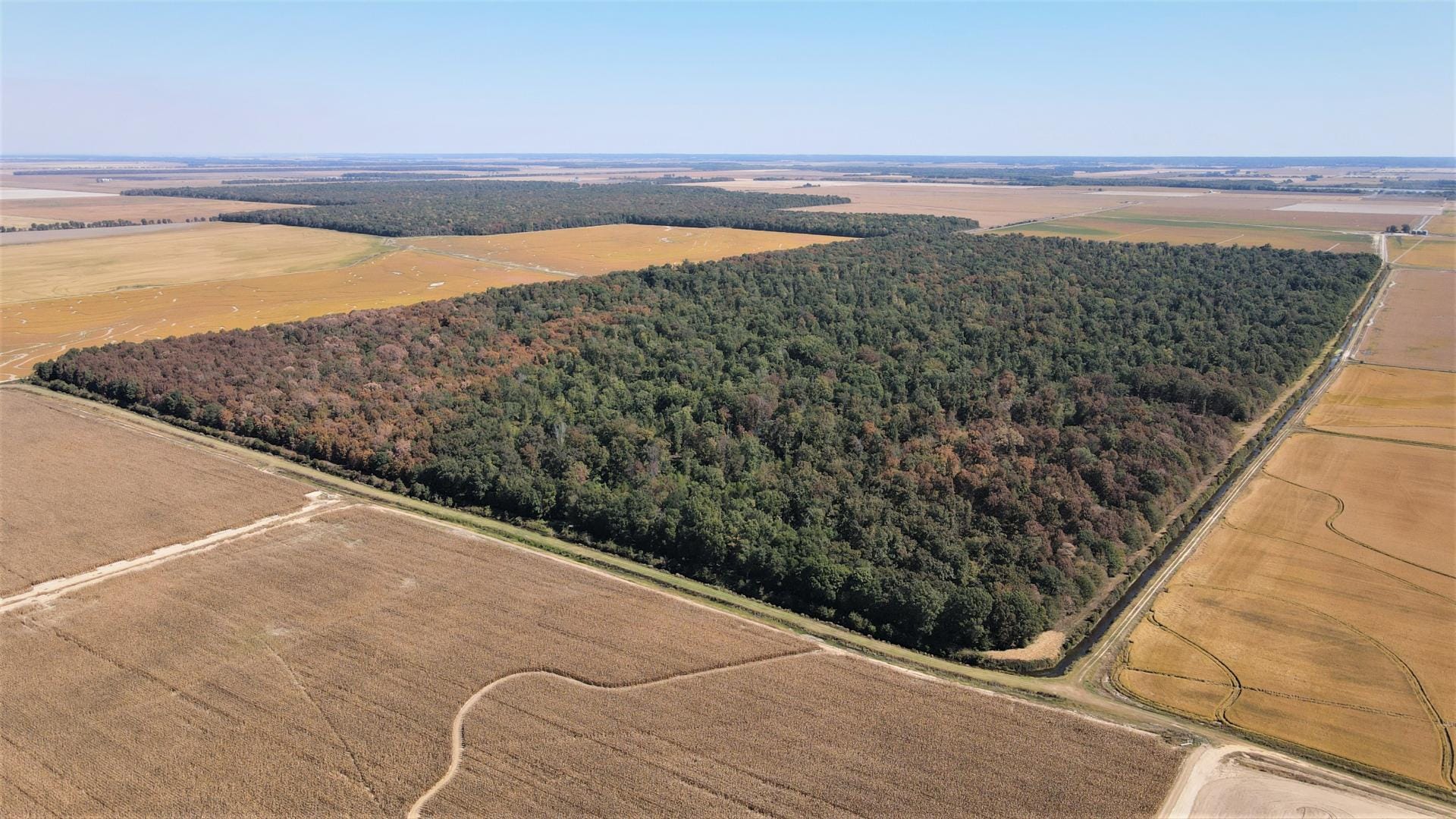 Land For Sale - Mossy Oak Properties