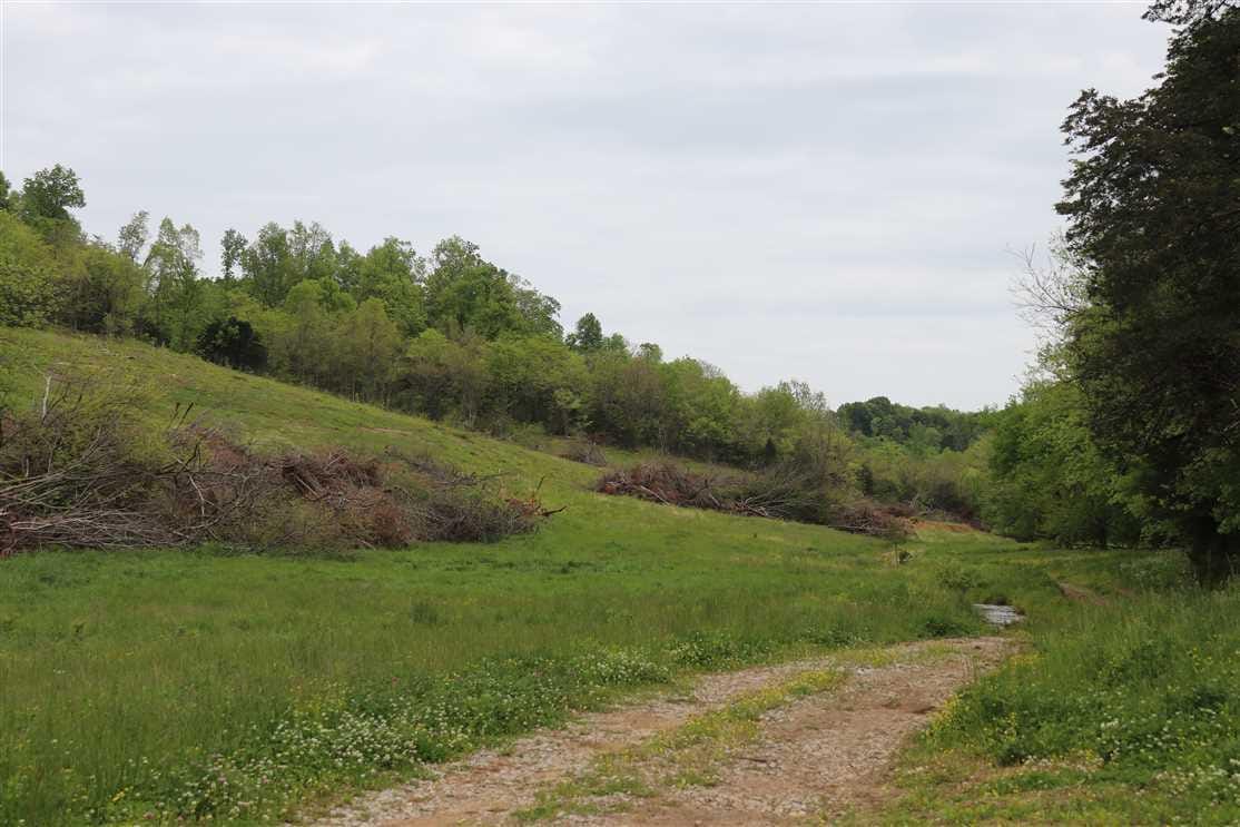 Kentucky Land For Sale & Properties for Sale in KY Mossy Oak Properties