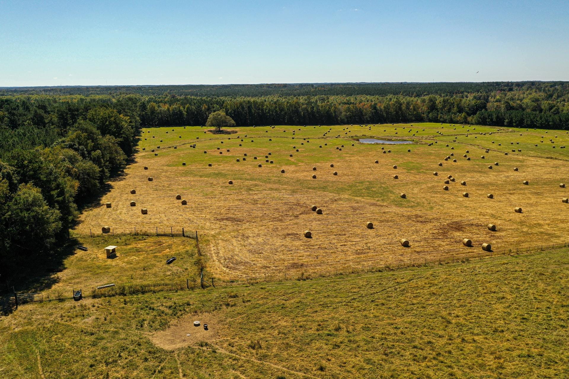 Single Tree Farm Mississippi Farms For Sale & Farmland For Sale in MS | Mossy Oak Properties