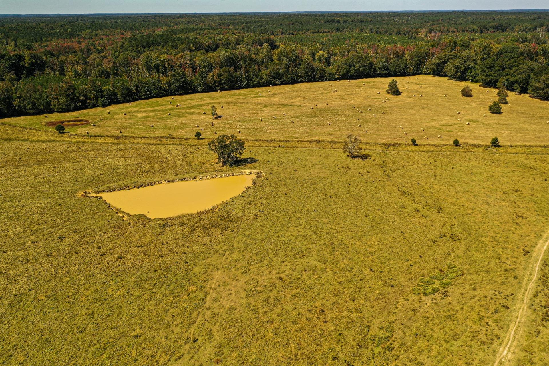 Single Tree Farm Mississippi Farms For Sale & Farmland For Sale in MS | Mossy Oak Properties