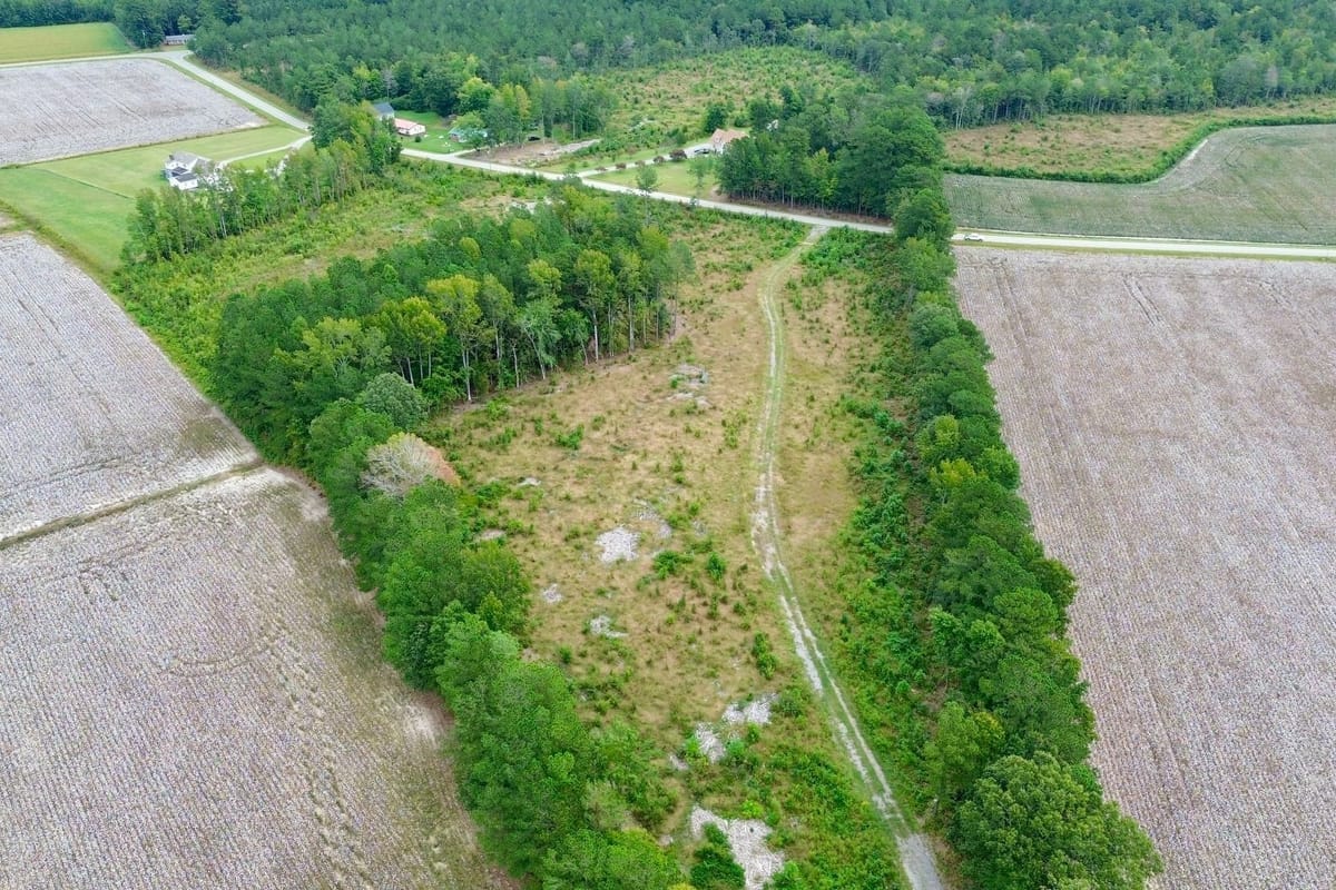 Bertie County Recreational Timber Tract