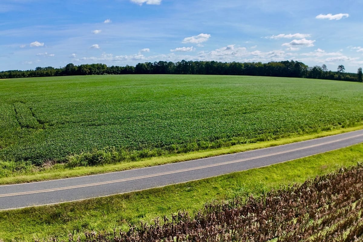 Vanceboro Homesite with Acreage