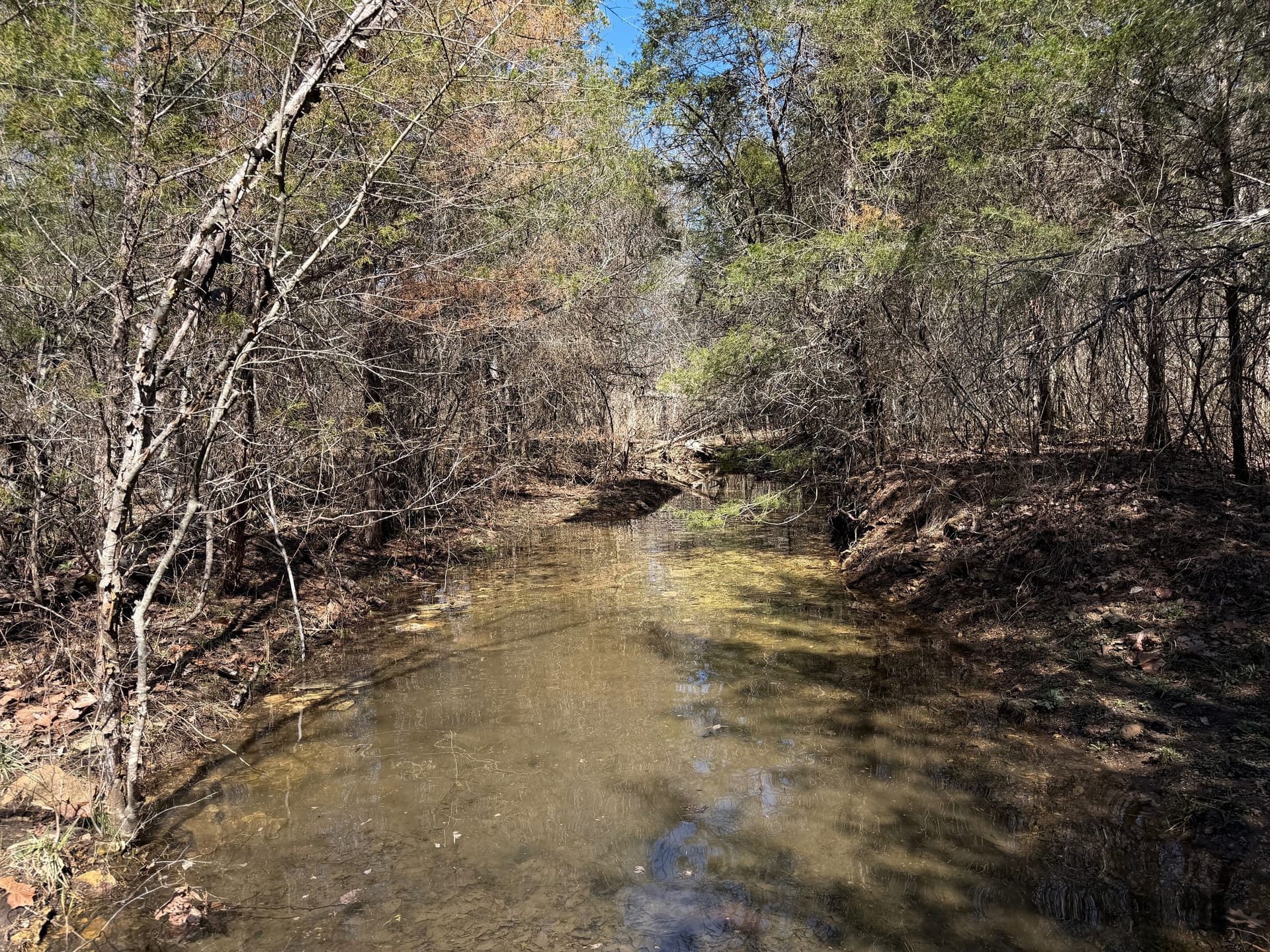 Osarks Ranch 934 +/- Acre Working Cattle Ranch in the Arkansas Ozarks, Henderson, AR ...