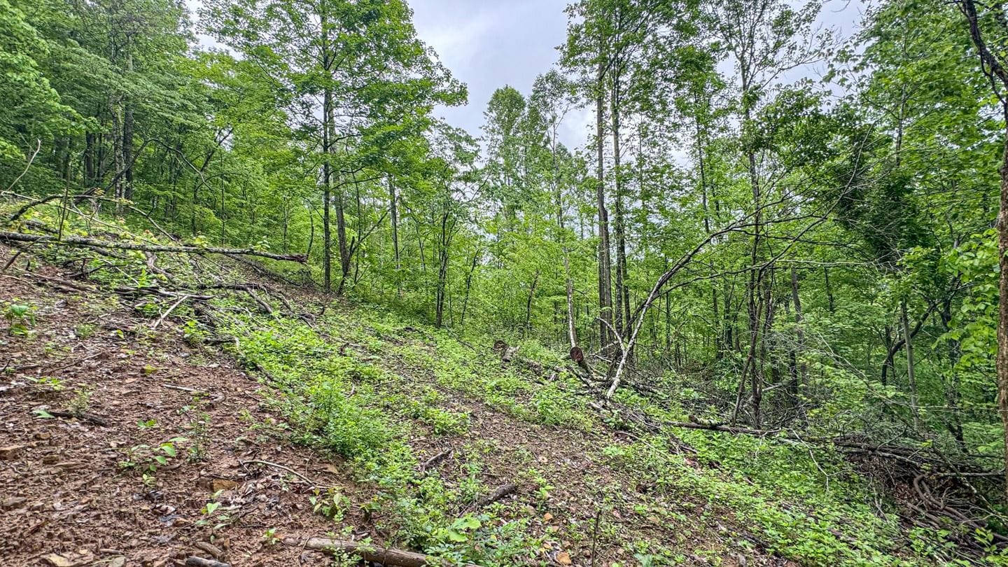 Co Rd 46 - 63 acres | Noble County | Lower Salem, OH