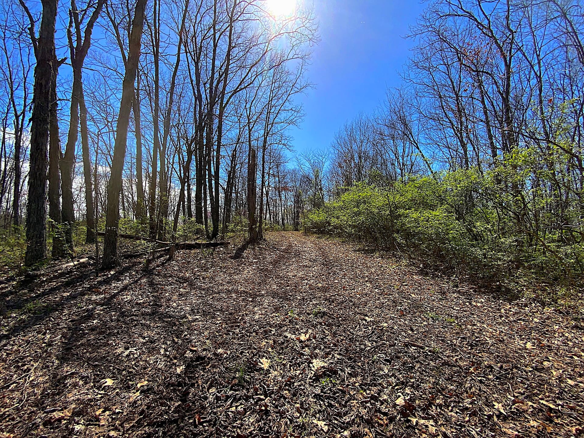 SR 554 - 96 acres - Gallia County | Gallia County | Bidwell, OH