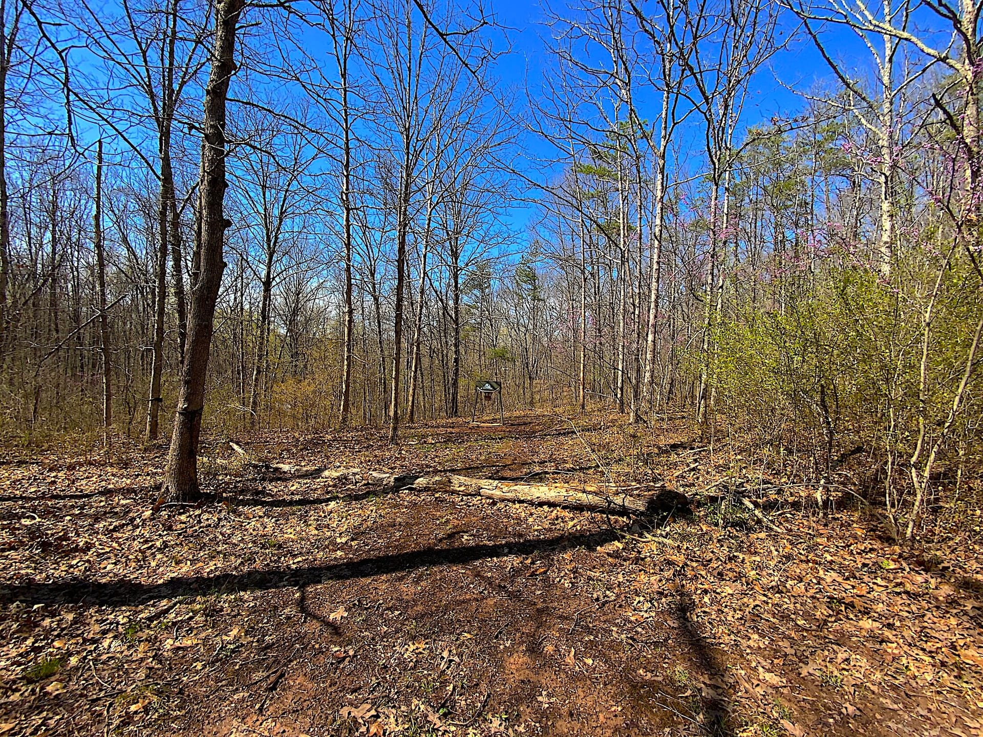 SR 554 - 96 acres - Gallia County | Gallia County | Bidwell, OH