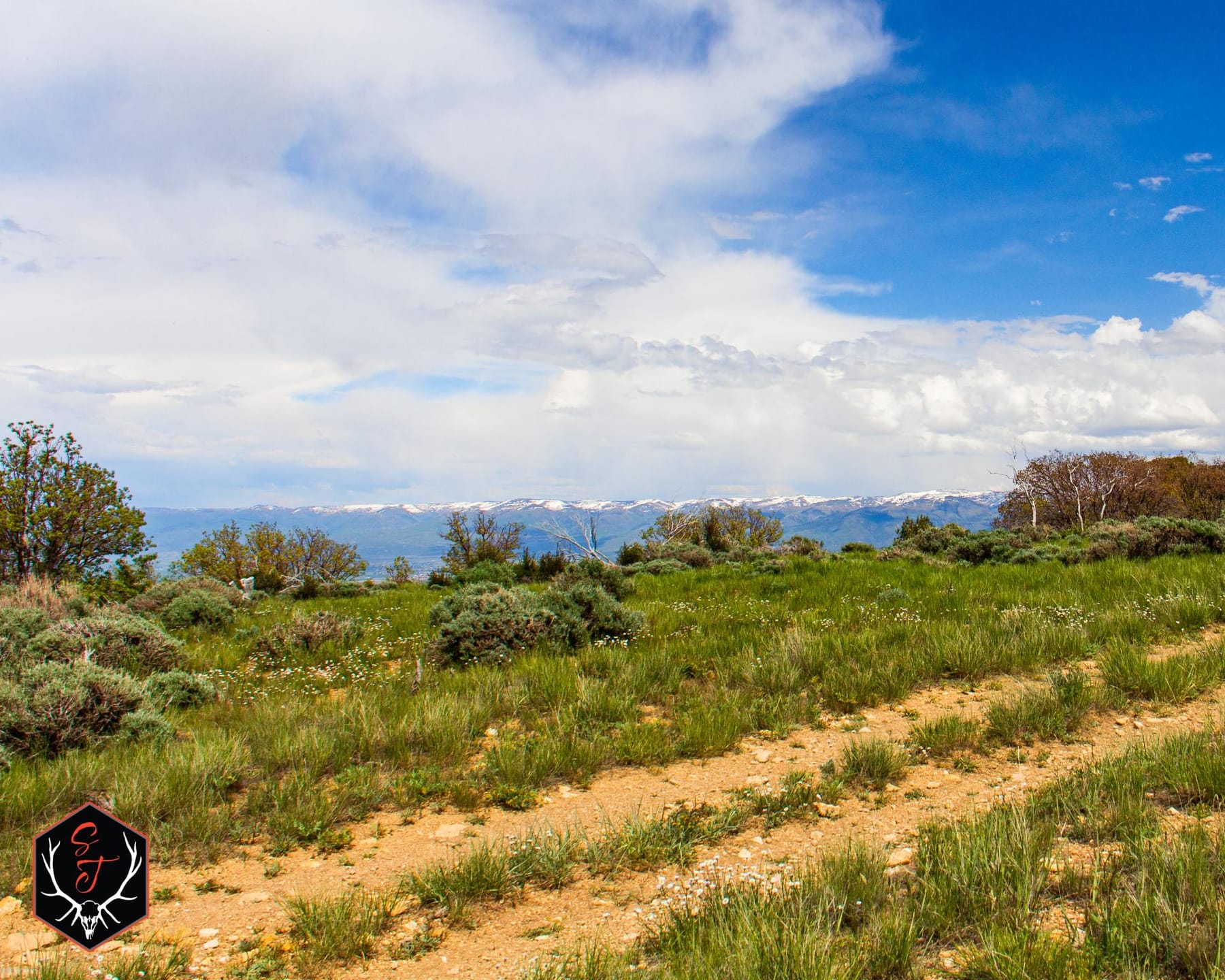 Big Ax Mountain Ranch | Sanpete County | Wales, UT