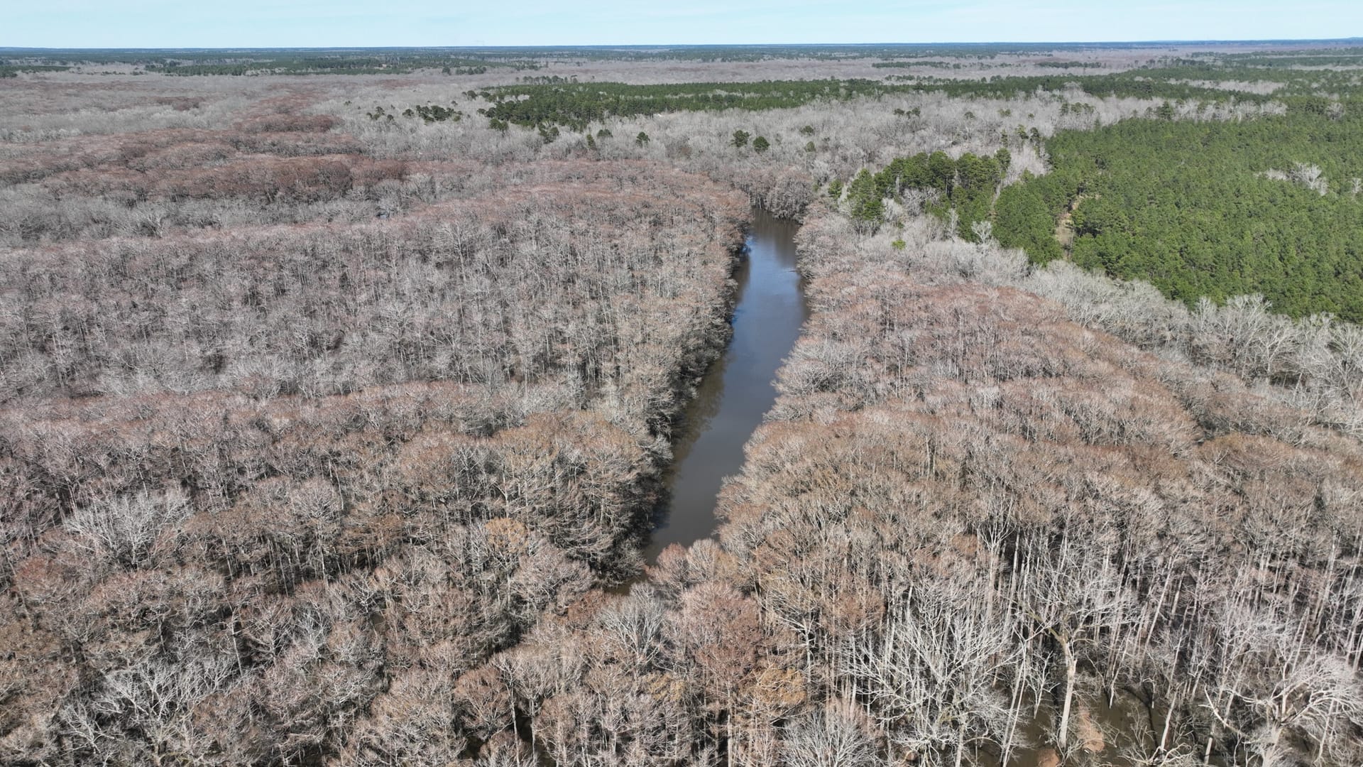 Bodcau Bluffs of East Bossier Parish, LA, 418 +/- acres | Bossier ...