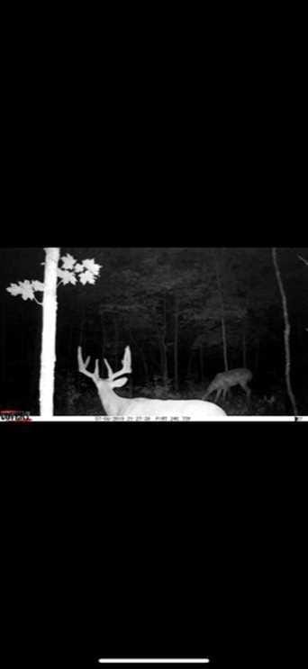 19+/ Acres Franklin County, IN Land for Sale Union County