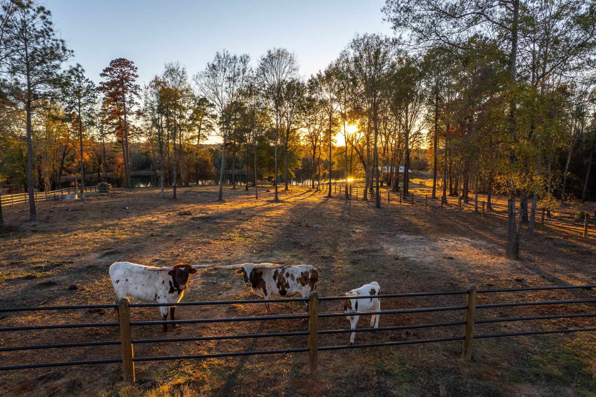 Morris Ranch Texas The Ranch at Timber Ridge | Morris County | Omaha, TX