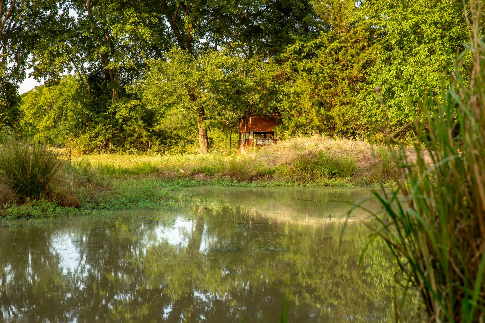 Nelson Ranch Nelson Ranch @ Lake Fork Creek | Hunt County | Lone Oak, TX