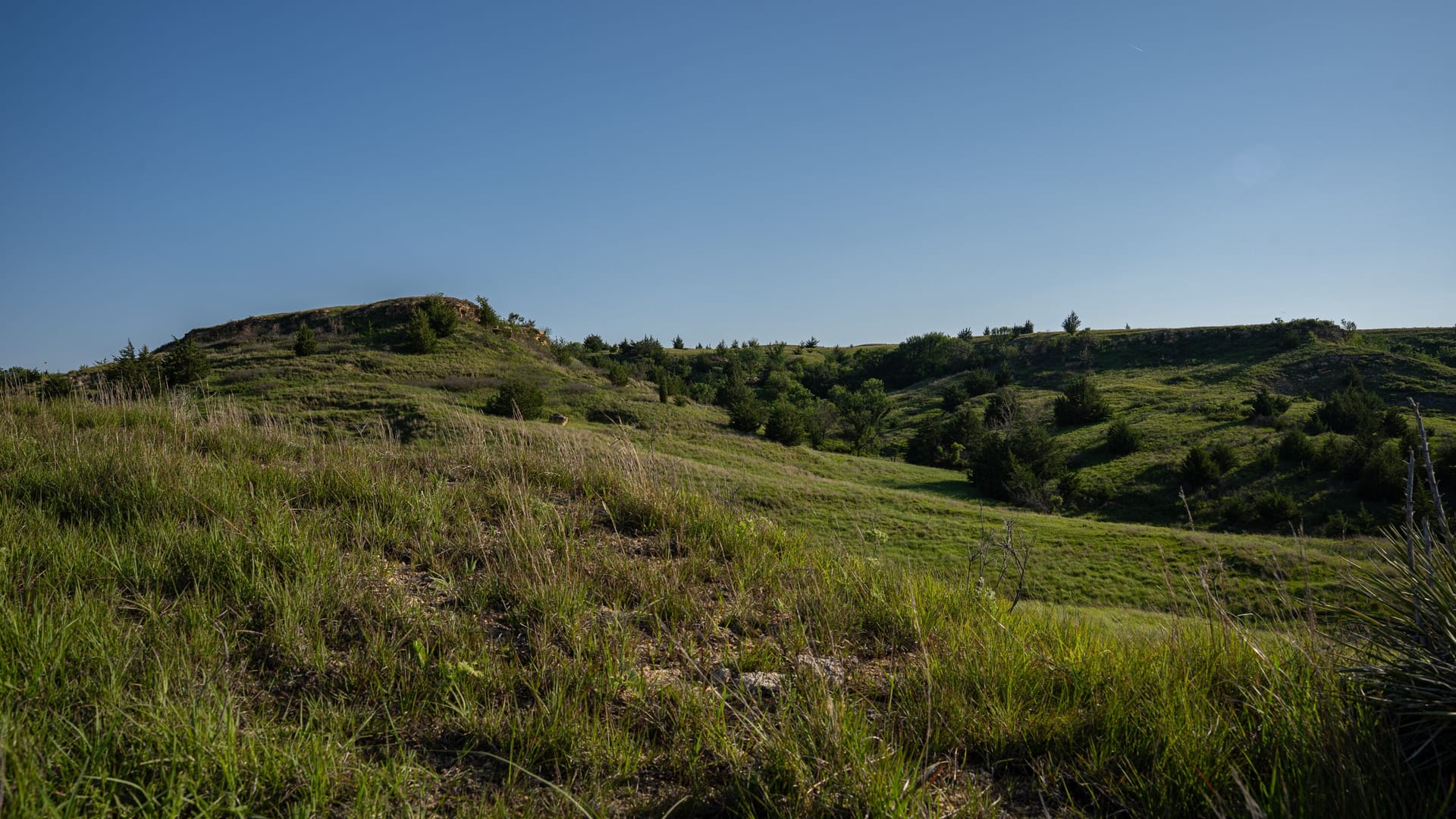 290+/- Acres of Trophy Deer and Turkey Paradise in Rooks County, Kansas ...