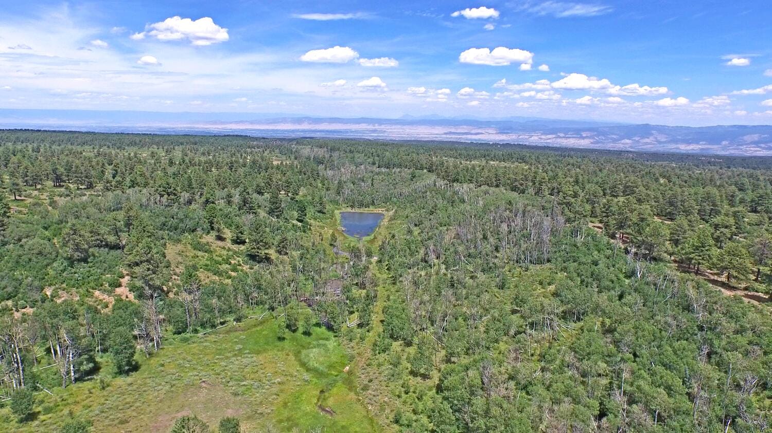 Government Springs Ranch | Ouray County | Ouray, CO