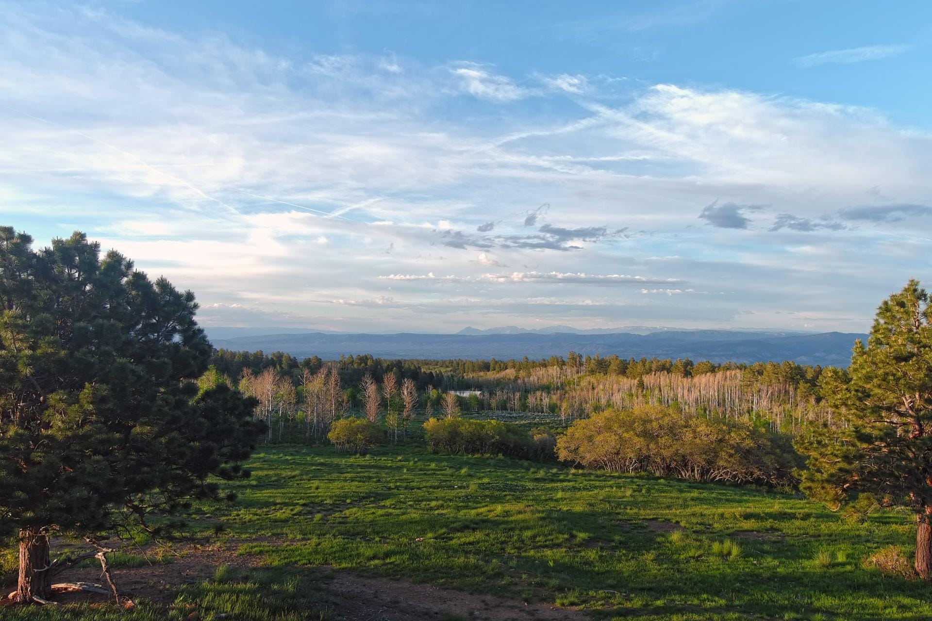 Government Springs Ranch | Ouray County | Ouray, CO