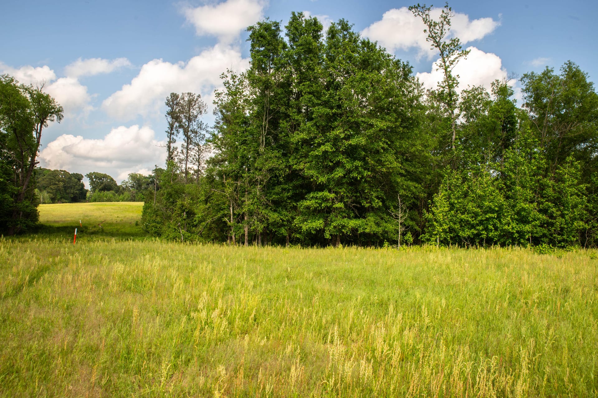Oak Ridge Estates | Harrison County | Harleton, TX