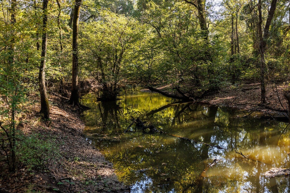 Kickapoo Tx County Kickapoo Timbers | Henderson County | Brownsboro, TX