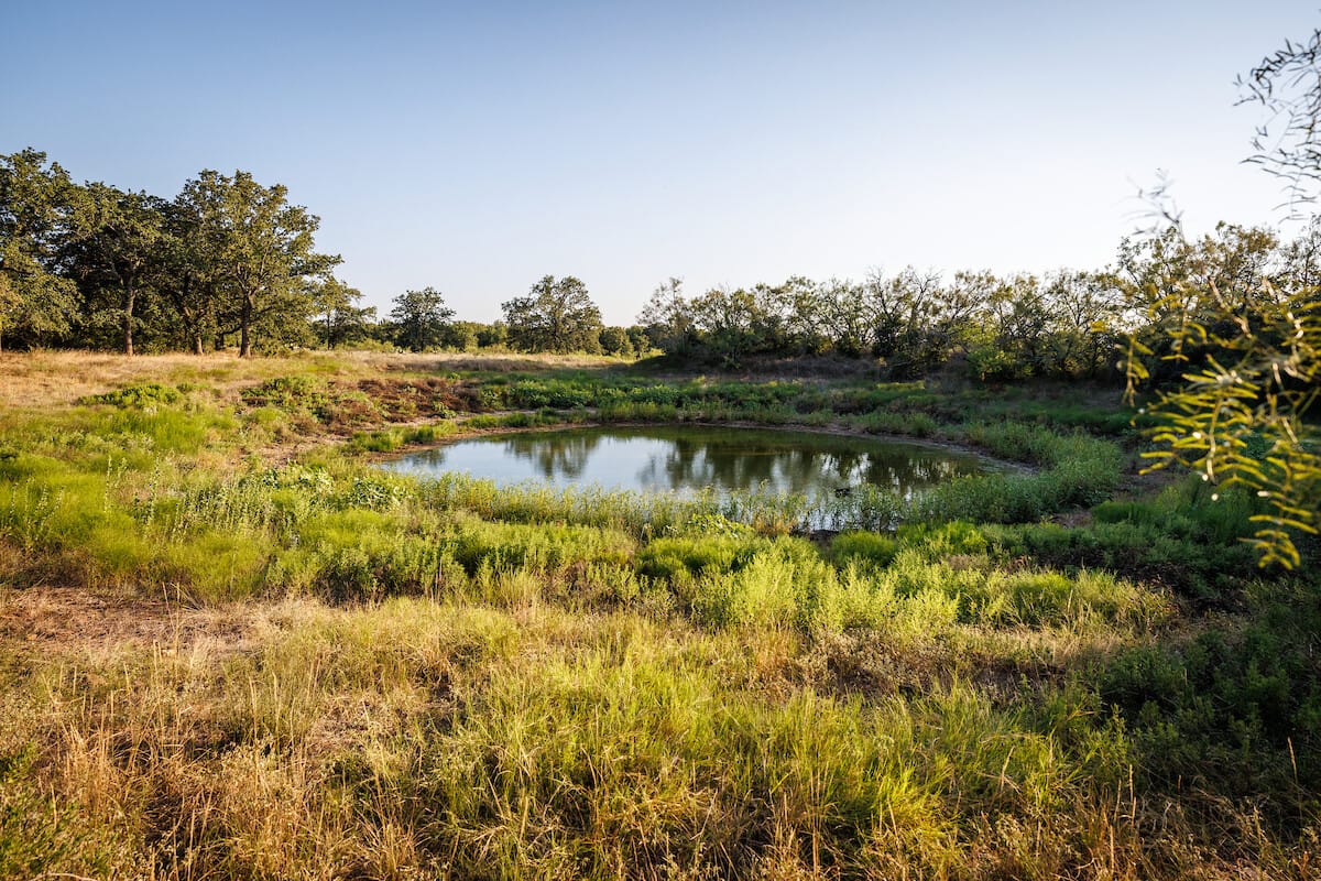 Atwell Ranch- East | Callahan County | Cisco, TX