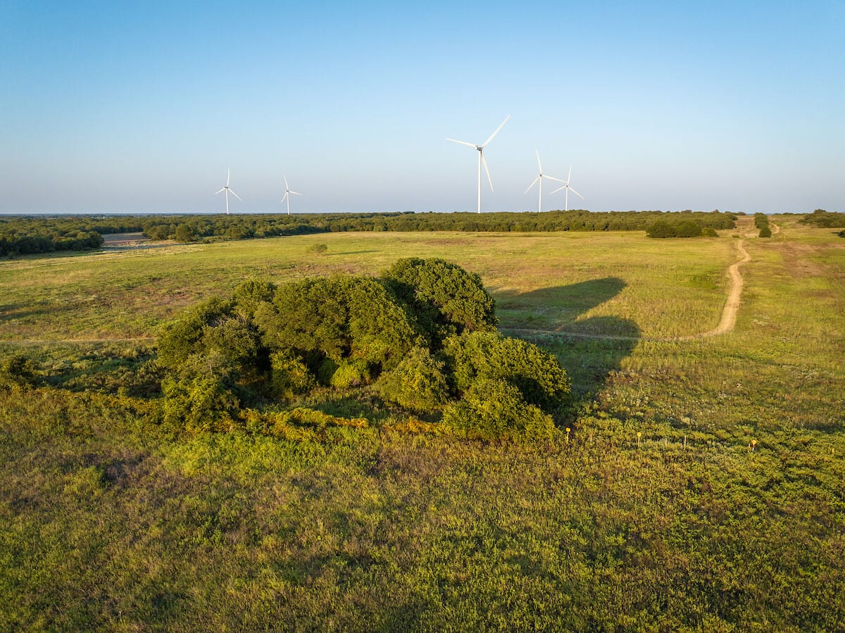 Atwell Ranch- West | Callahan County | Cisco, TX
