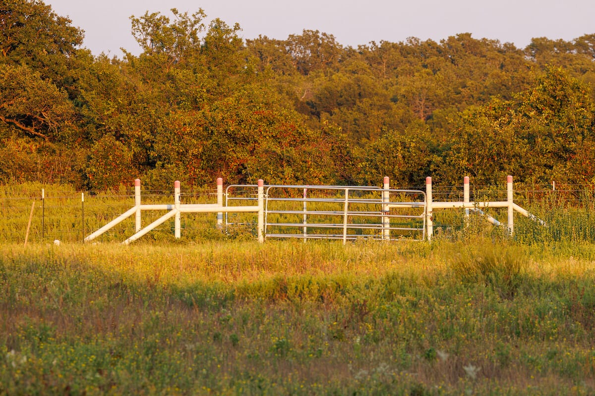Atwell Ranch- West | Callahan County | Cisco, TX