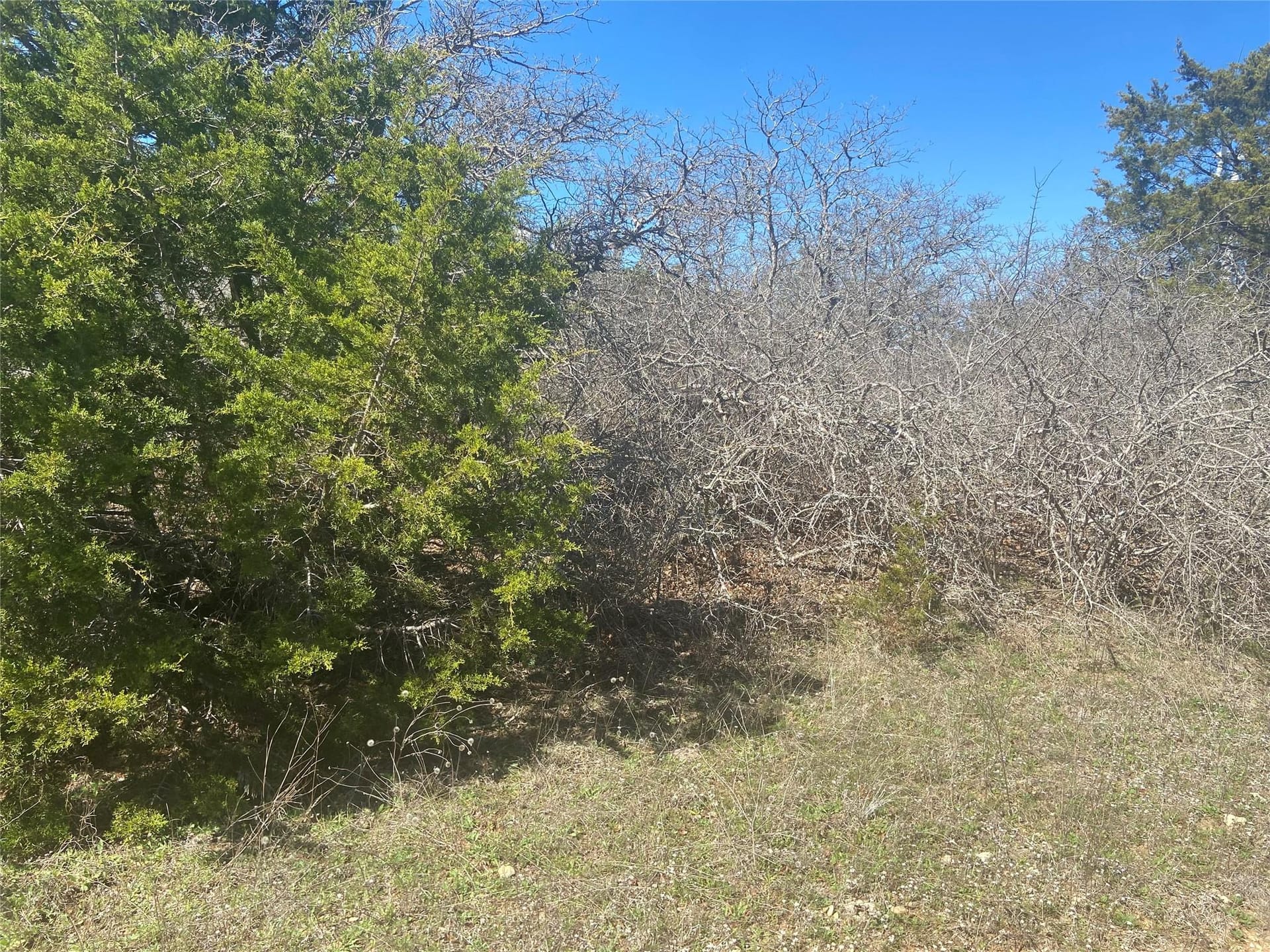 28.45+/ Acres, Eastland County Eastland County Desdemona, TX