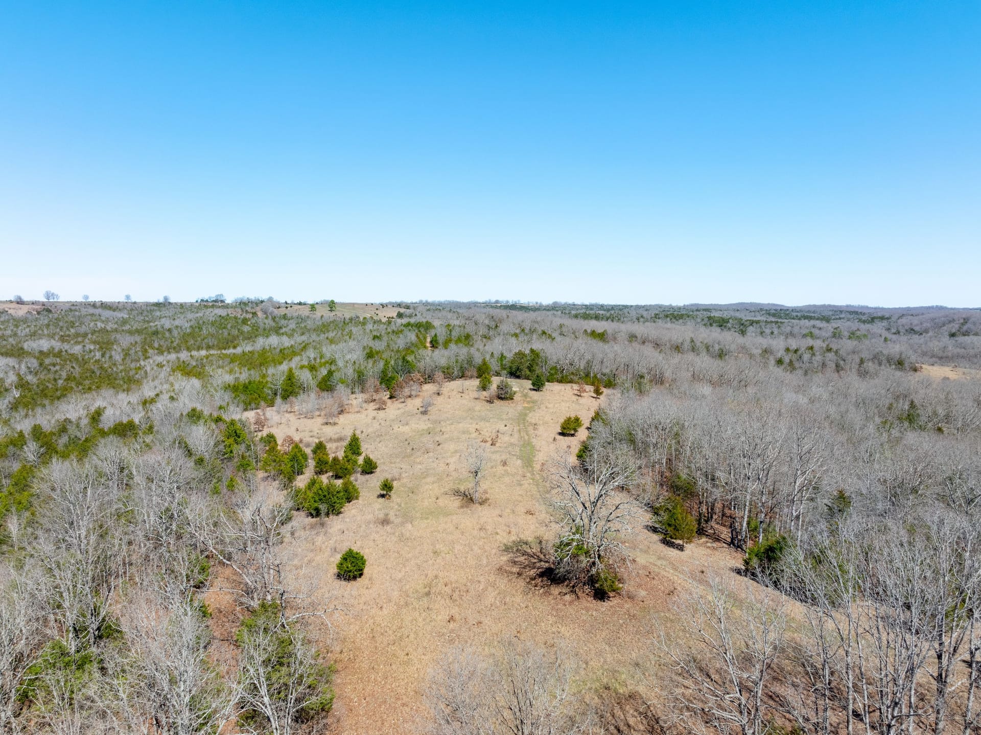 Osarks Ranch 934 +/- Acre Working Cattle Ranch in the Arkansas Ozarks, Henderson, AR ...
