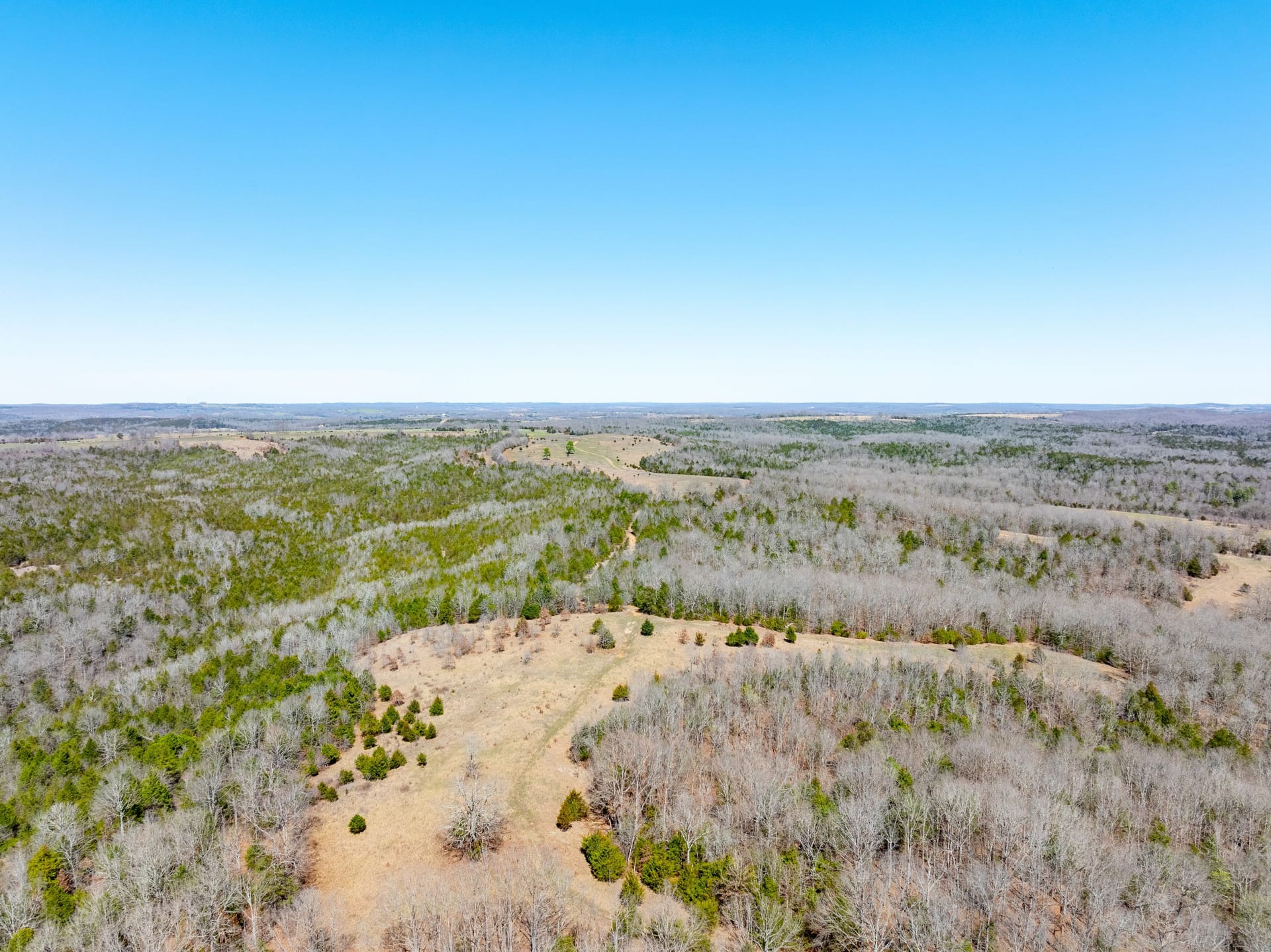 934 +/- Acre Working Cattle Ranch in the Arkansas Ozarks, Henderson, AR ...